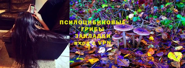 хмурый Алексин
