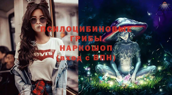 хмурый Алексин